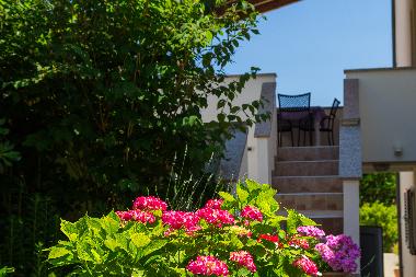 Ferienwohnung in Mali Losinj (Primorsko-Goranska) oder Ferienwohnung oder Ferienhaus