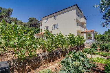Ferienwohnung in Mali Losinj (Primorsko-Goranska) oder Ferienwohnung oder Ferienhaus