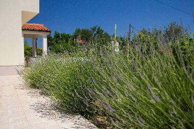 Ferienwohnung in Mali Losinj (Primorsko-Goranska) oder Ferienwohnung oder Ferienhaus