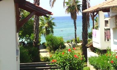 Ferienhaus in Avsallar (Antalya) oder Ferienwohnung oder Ferienhaus