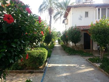 Ferienhaus in Avsallar (Antalya) oder Ferienwohnung oder Ferienhaus
