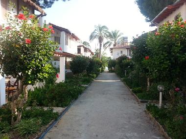 Ferienhaus in Avsallar (Antalya) oder Ferienwohnung oder Ferienhaus