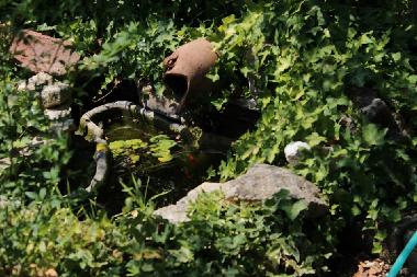 Ferienhaus in amelia (Terni) oder Ferienwohnung oder Ferienhaus