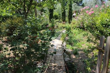 Ferienhaus in amelia (Terni) oder Ferienwohnung oder Ferienhaus