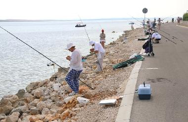 F�r Liebhaber der Fischerei