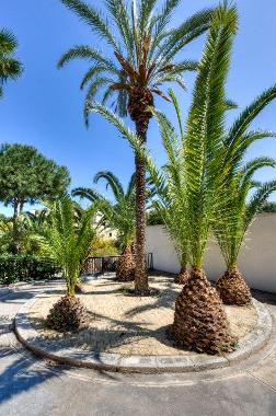 Villa in Mellieha (Malta) oder Ferienwohnung oder Ferienhaus