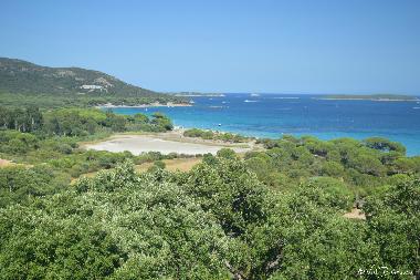 Ferienwohnung in Santa Maria Poggio (Haute-Corse) oder Ferienwohnung oder Ferienhaus