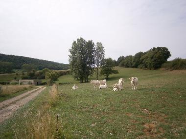 Ferienhaus in sennecey legrand (Sa�ne-et-Loire) oder Ferienwohnung oder Ferienhaus