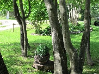 Chalet in Skulte (Lettland) oder Ferienwohnung oder Ferienhaus