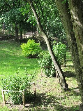 Chalet in Skulte (Lettland) oder Ferienwohnung oder Ferienhaus