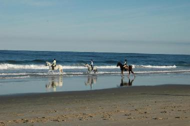 Ferienwohnung in Arachania (Rocha) oder Ferienwohnung oder Ferienhaus