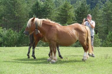 Ferienwohnung in vieux boucau  (Landes) oder Ferienwohnung oder Ferienhaus
