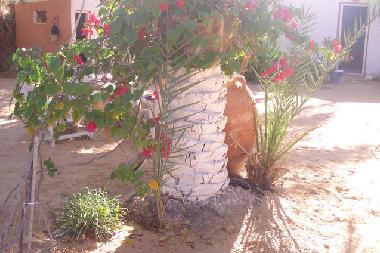 Ferienhaus in douz (Qibili) oder Ferienwohnung oder Ferienhaus