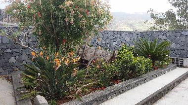 Villa in arco da calheta (Madeira) oder Ferienwohnung oder Ferienhaus