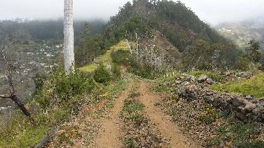 Villa in arco da calheta (Madeira) oder Ferienwohnung oder Ferienhaus