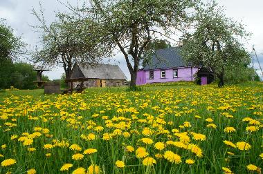 Ferienhaus in Ilūkstes novads (Lettland) oder Ferienwohnung oder Ferienhaus