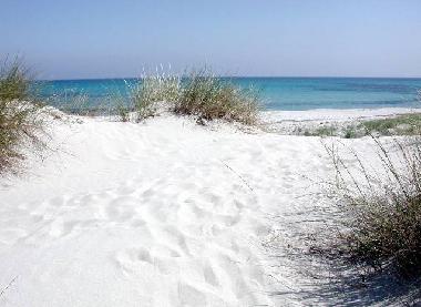 Ferienwohnung in Posada (Nuoro) oder Ferienwohnung oder Ferienhaus