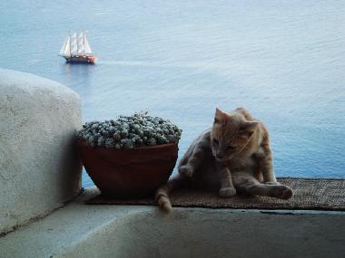 Ferienhaus in oia (Kyklades) oder Ferienwohnung oder Ferienhaus
