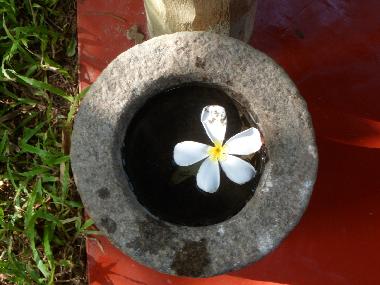 Ferienhaus in Weligama (Matara) oder Ferienwohnung oder Ferienhaus