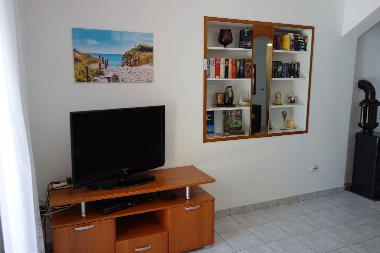 SAT-TV und WLAN