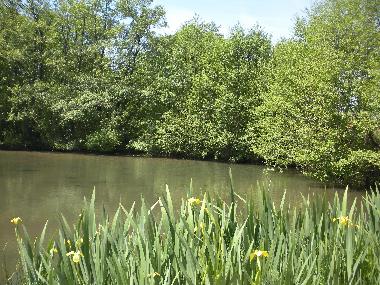 Ferienhaus in ST. BOMER LES FORGES (Orne) oder Ferienwohnung oder Ferienhaus