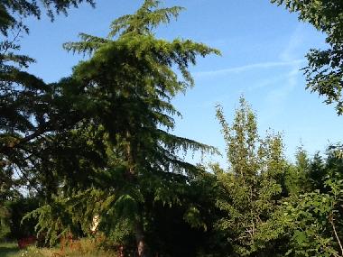 Ferienwohnung in Brugui�res (Haute-Garonne) oder Ferienwohnung oder Ferienhaus