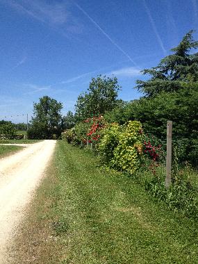 Ferienwohnung in Brugui�res (Haute-Garonne) oder Ferienwohnung oder Ferienhaus