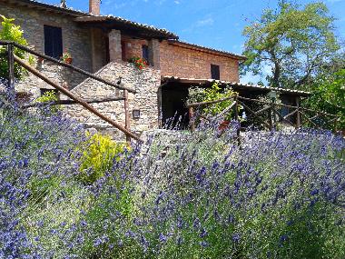 Ferienwohnung in Colonnetta di Prodo Orvieto (Terni) oder Ferienwohnung oder Ferienhaus