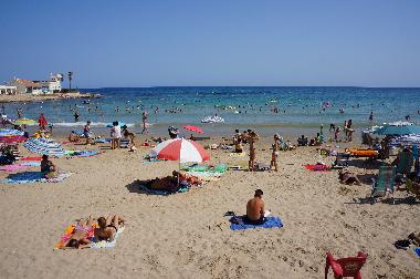 Ferienhaus in torrevieja (Alicante / Alacant) oder Ferienwohnung oder Ferienhaus