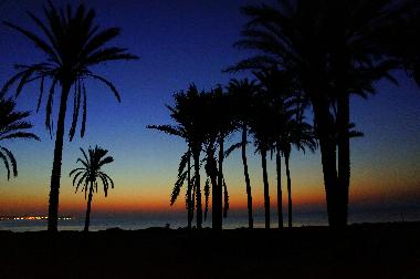 Ferienhaus in torrevieja (Alicante / Alacant) oder Ferienwohnung oder Ferienhaus