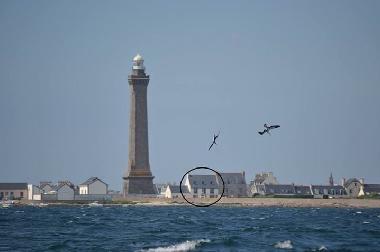 Ferienwohnung in penmarc'h (Finistre) oder Ferienwohnung oder Ferienhaus