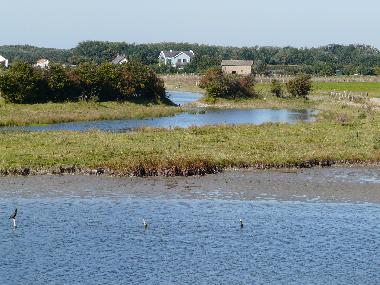 Landschaft hinter der D�ne