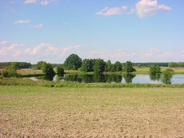 Traumhaft: 30 Minuten zu Fu� zum Torfsee wandern