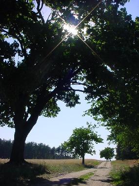 Der Fl�ming Walk l�uft direkt am Landgut vorbei. Hier Pfefferflie�route bei Berkenbr�ck