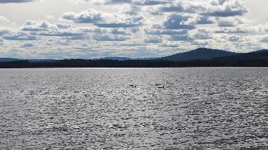 Badeplatz am See Manj�rv