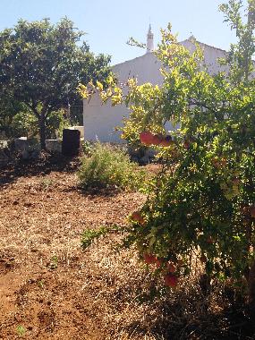 Ferienhaus in vila nova de cacela, portugal (Algarve) oder Ferienwohnung oder Ferienhaus