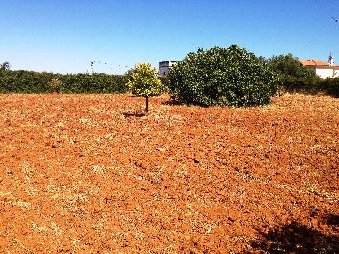 Ferienhaus in vila nova de cacela, portugal (Algarve) oder Ferienwohnung oder Ferienhaus