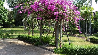 Dusche beim Swimmingpool