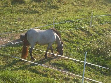 Ferienhaus in pirajoux (Ain) oder Ferienwohnung oder Ferienhaus