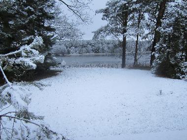 Winteruhe am Barniner See 