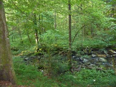 Ferienhaus in Waldkirchen (Niederbayern) oder Ferienwohnung oder Ferienhaus