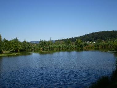 Ferienhaus in Waldkirchen (Niederbayern) oder Ferienwohnung oder Ferienhaus