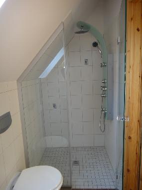 das Badezimmer mit F�n, Handtuchtrockner und Wellnessdusche