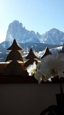 Ansicht von der Wohnzimmer