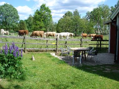 Ferienhaus in Hultsfred (Smaland) oder Ferienwohnung oder Ferienhaus