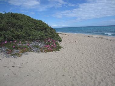 Strand San Pietro in Bevagna