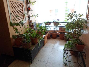 Ferienwohnung in Agadir (Agadir) oder Ferienwohnung oder Ferienhaus