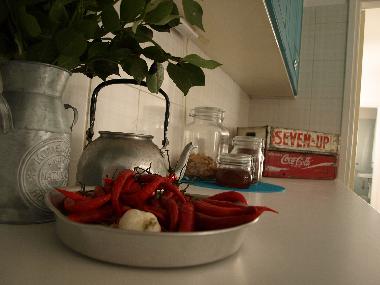 Ferienhaus in NICOSIA (Nicosia) oder Ferienwohnung oder Ferienhaus