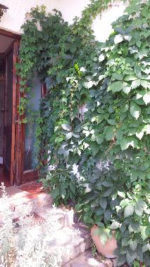Ferienhaus in Clahonda (Mlaga) oder Ferienwohnung oder Ferienhaus