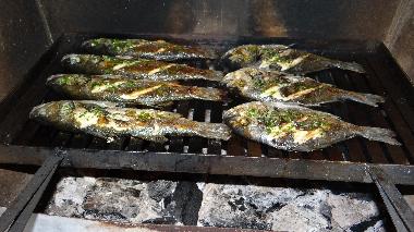 Villa in Rakalj (Istarska) oder Ferienwohnung oder Ferienhaus